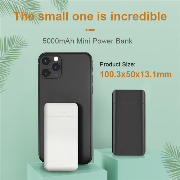 2020 newest full real 5000mAh small size Power Bank LWS-8021